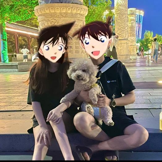 安静的公狒狒