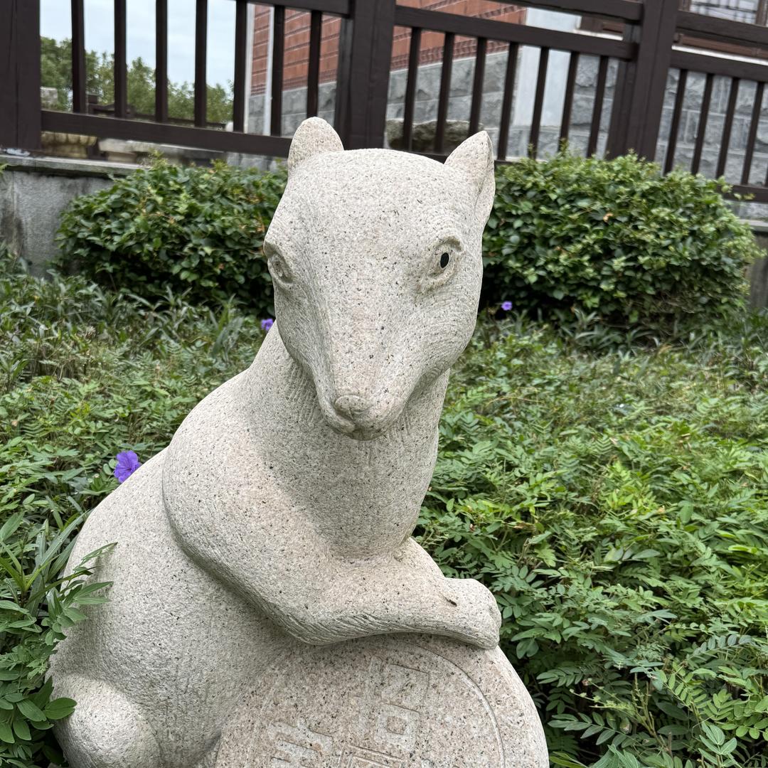 鱼鱼服装经营部