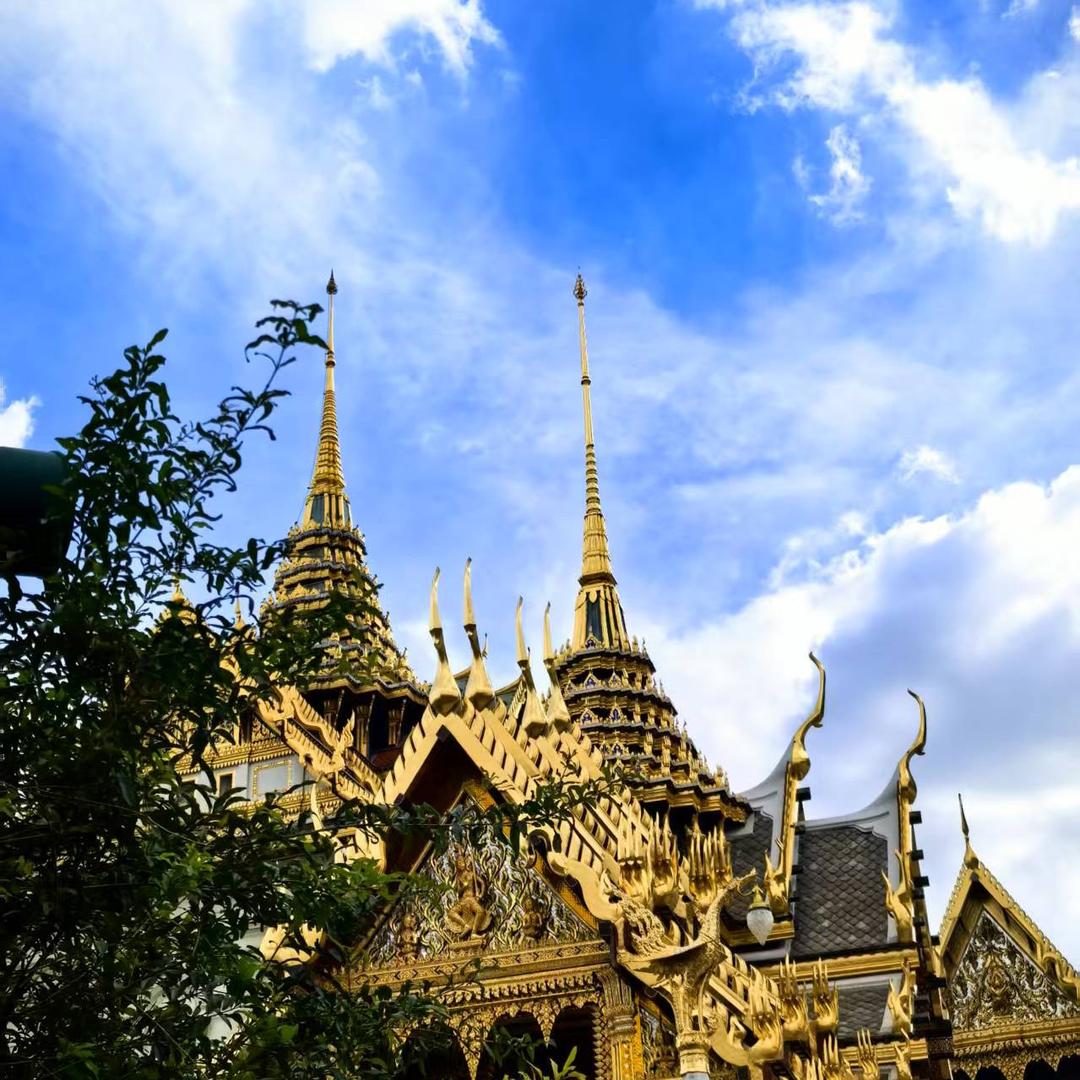 菏泽福田时代领航轻卡