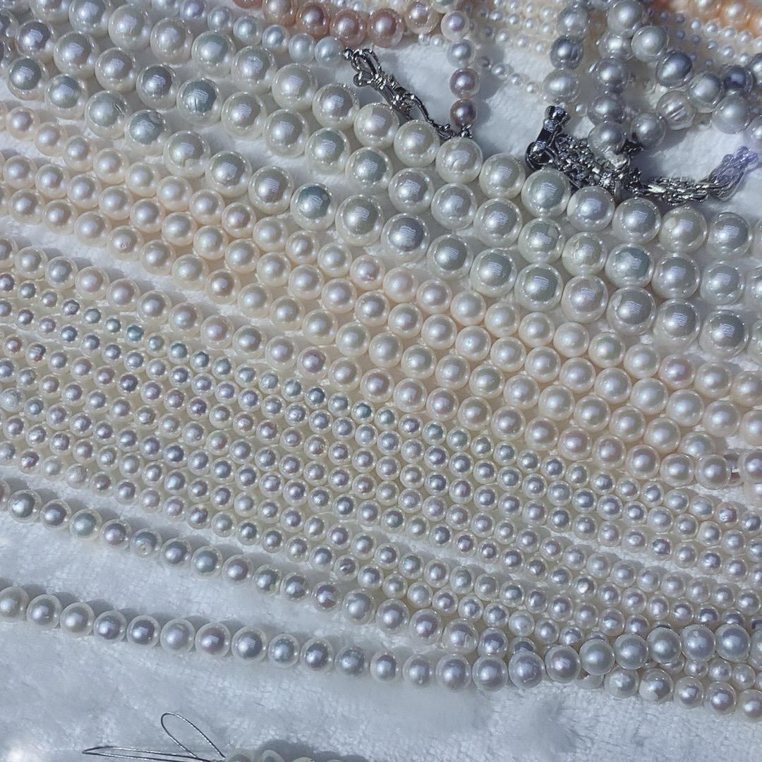 七七珠珠