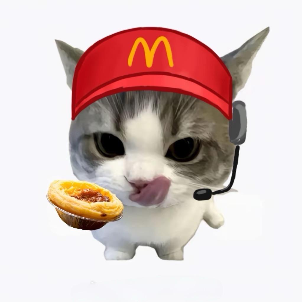 老登猫