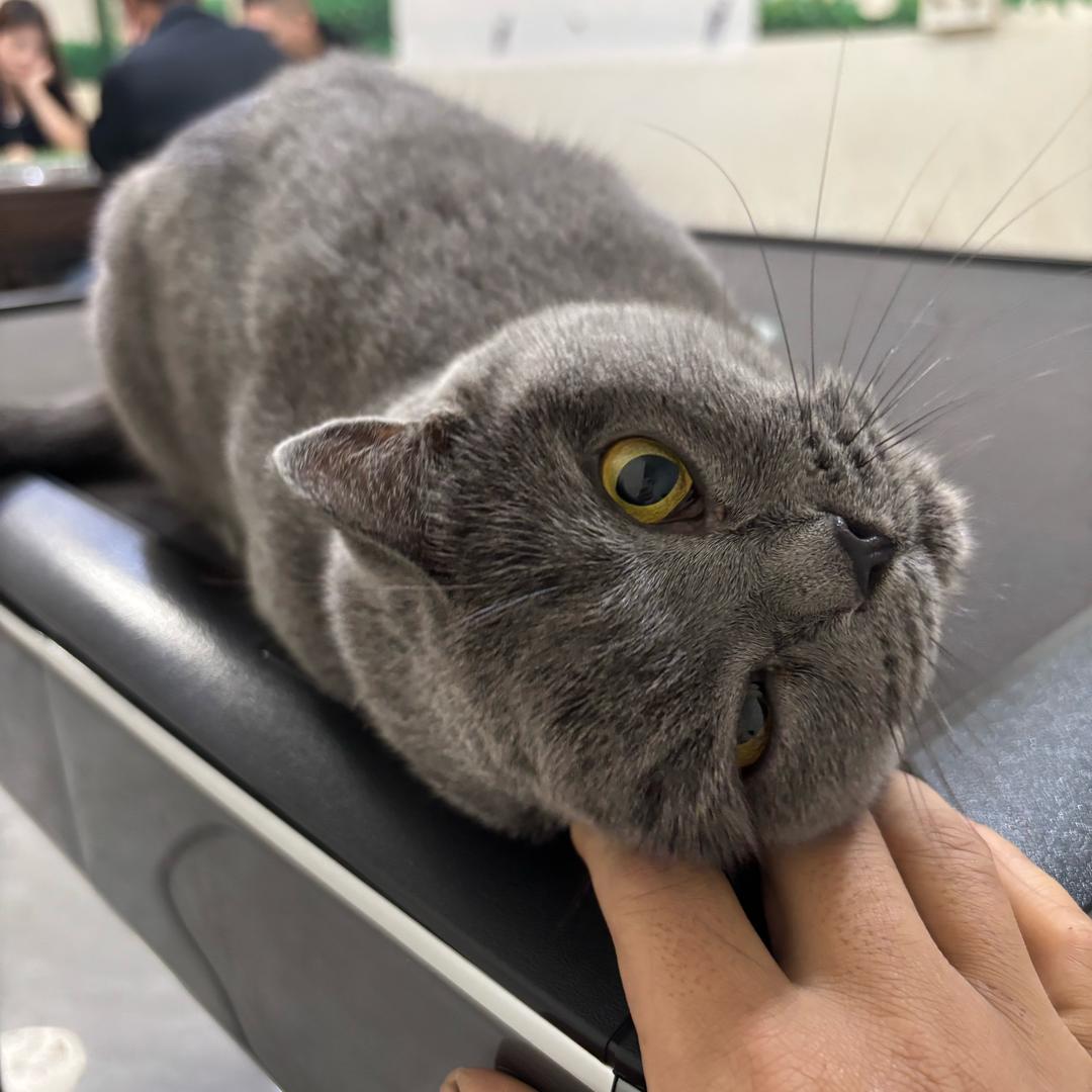 ꧔ꦿএ末路殊途💞