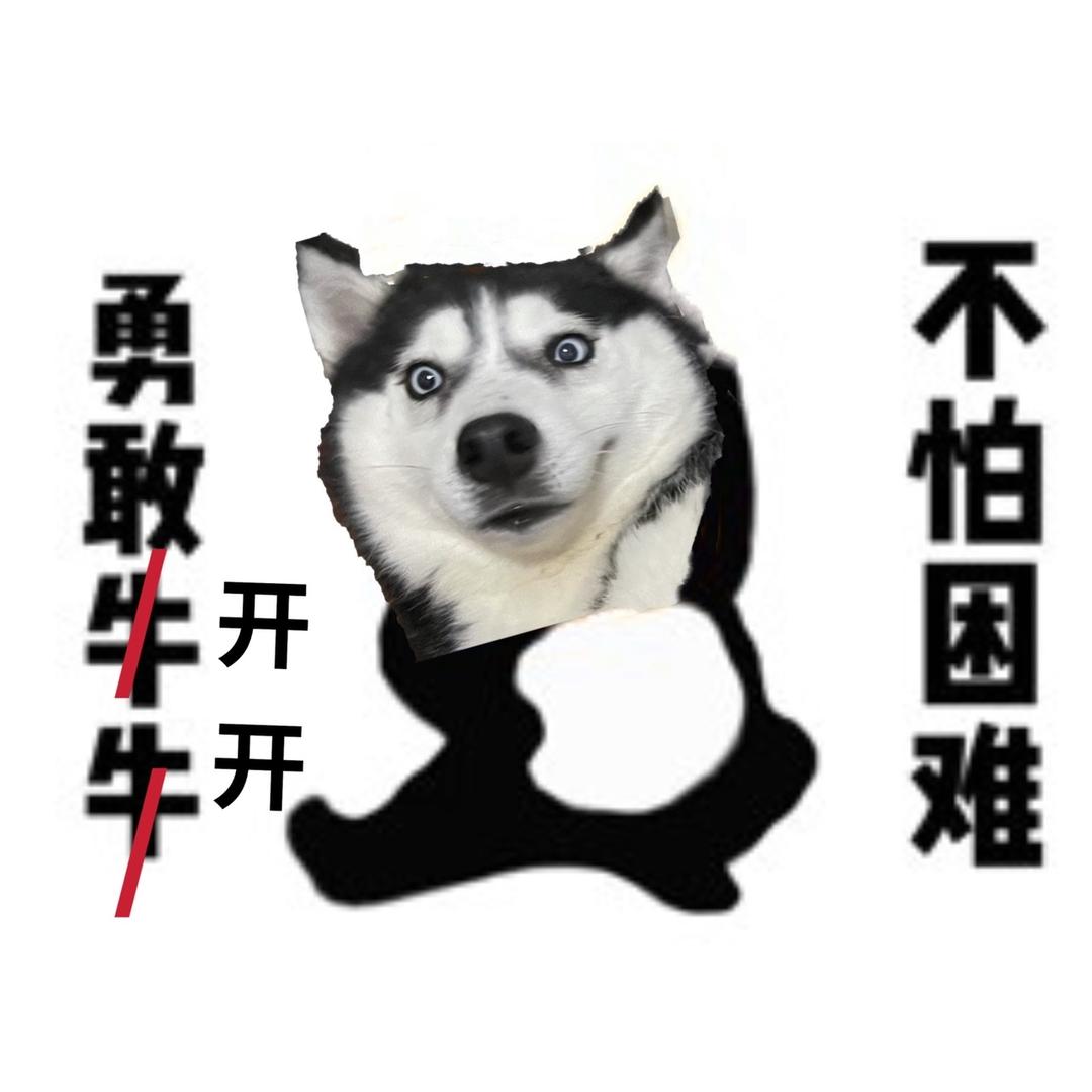 二哈开开哪吒
