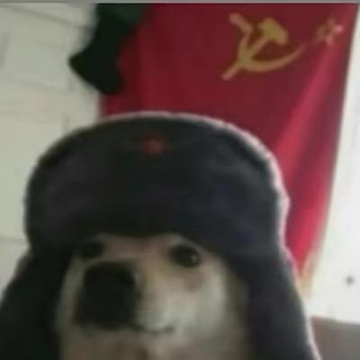 𝘽𝙖𝙚