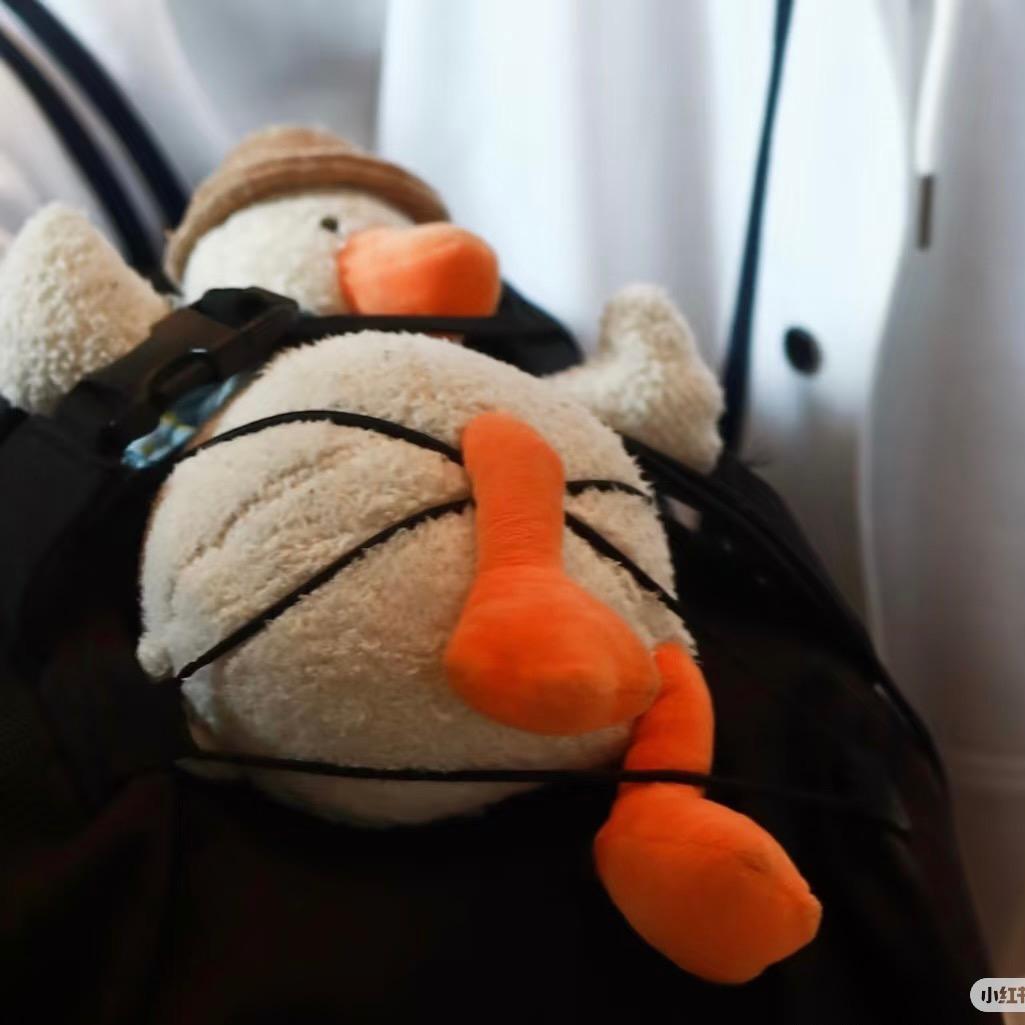 希望你被这个世界爱着🔮