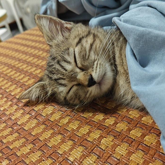 桓桓🧸
