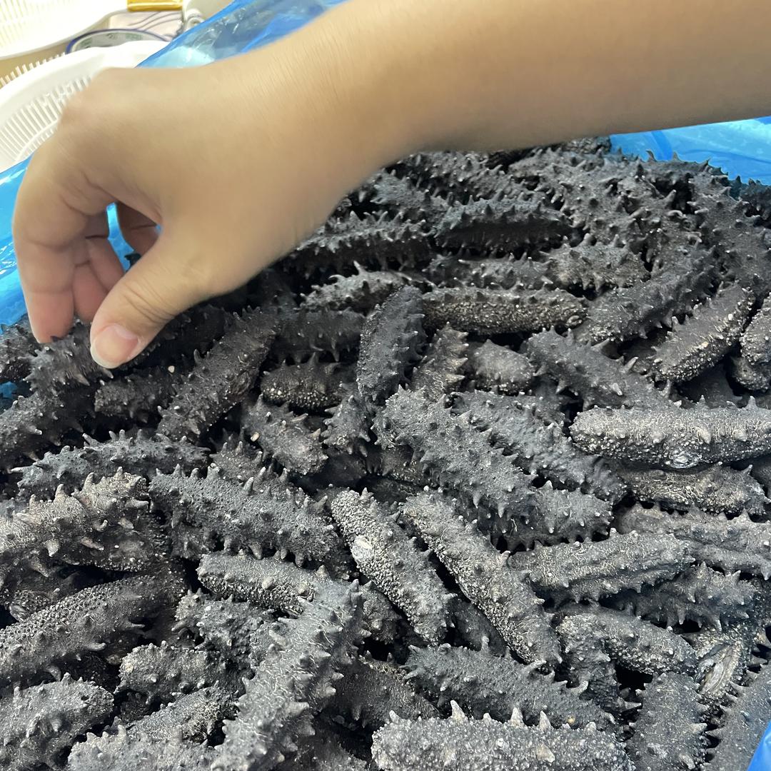 xiapuhaicanp