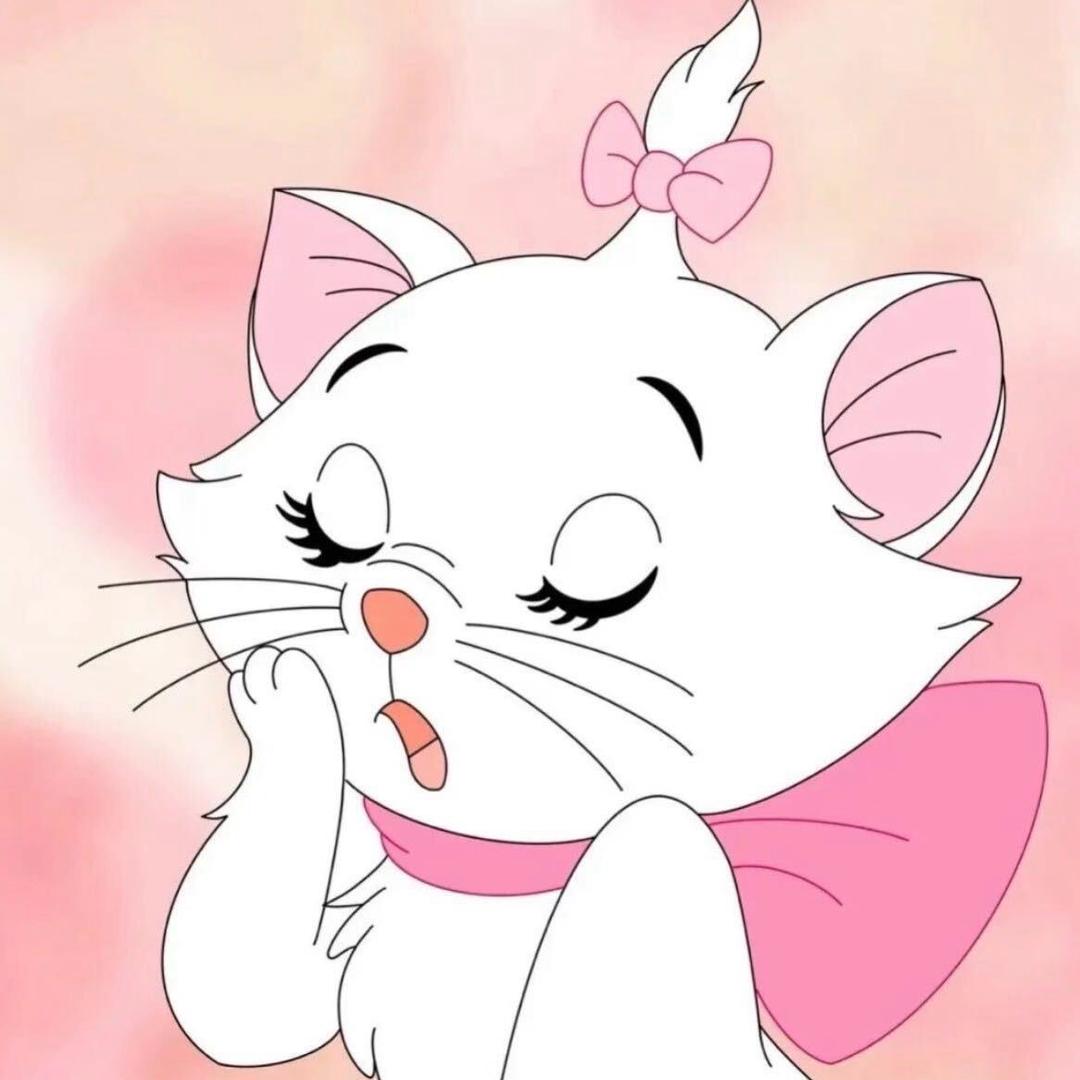 小R.