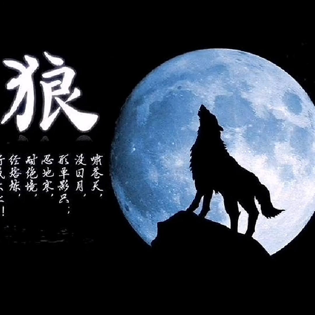 捌比