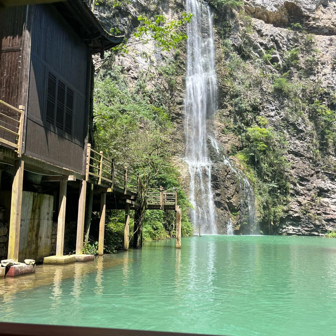 湖北黄金麻 白麻