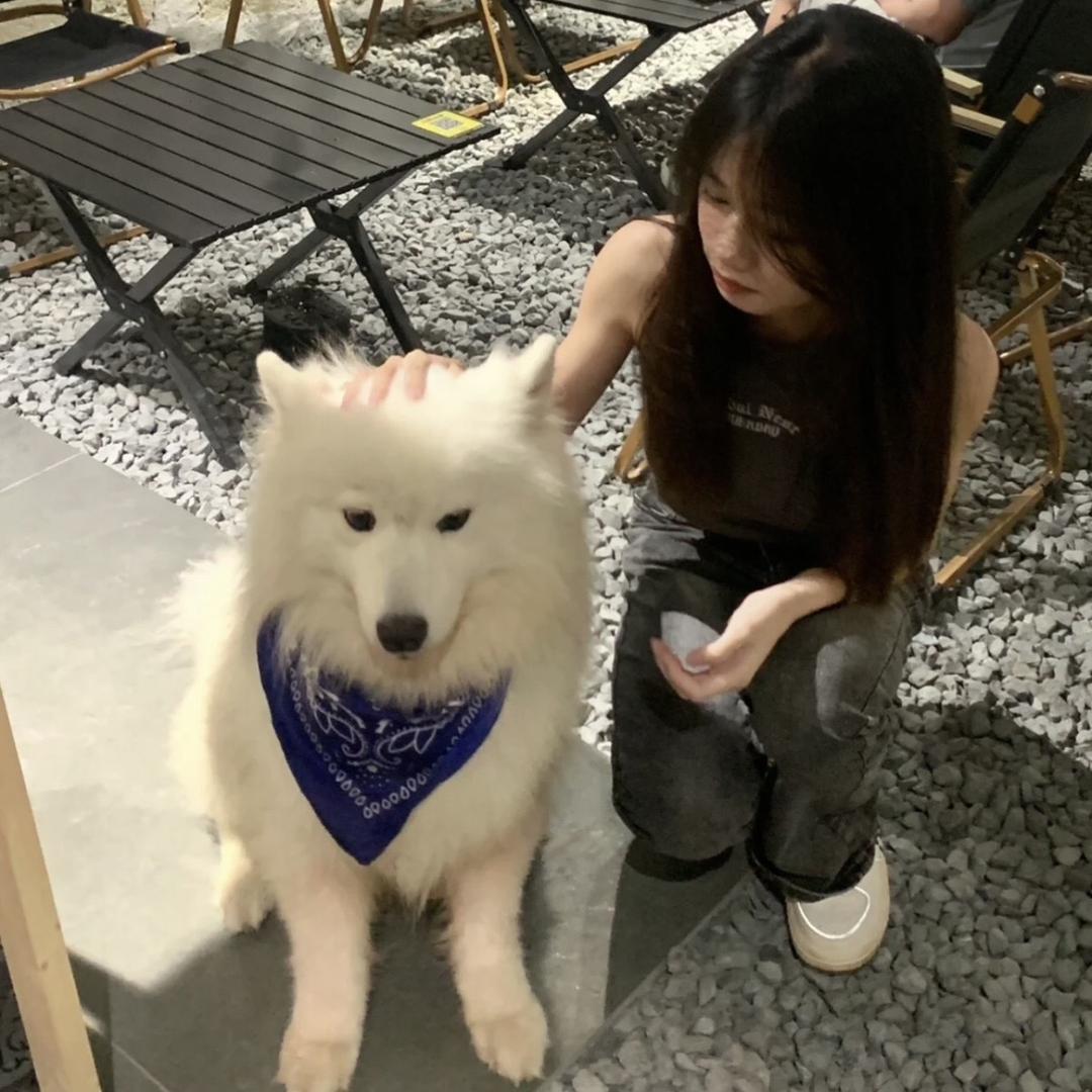 纯爱