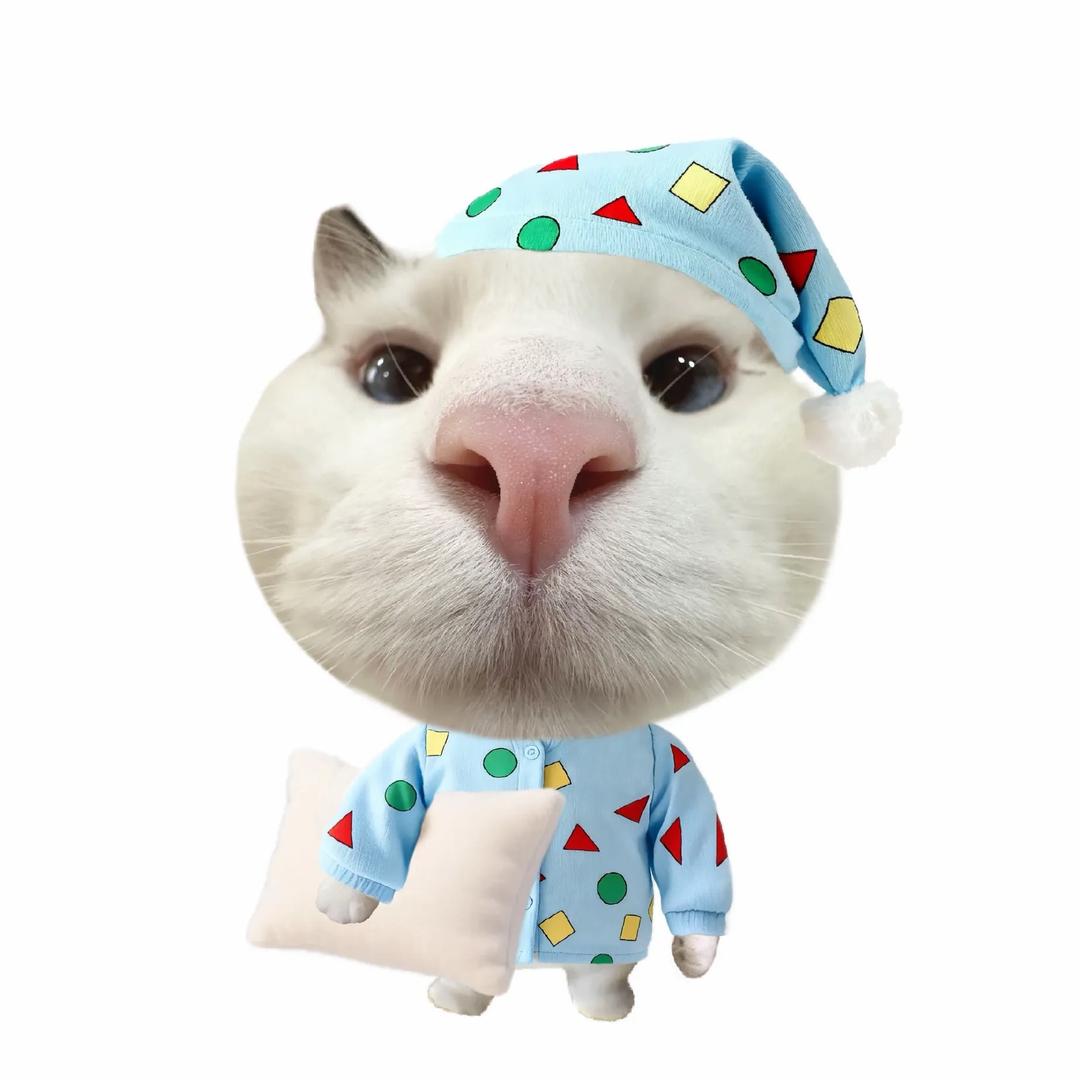 小森（去过川西版）