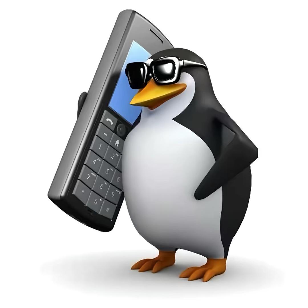 有只缅因喵（三角洲）