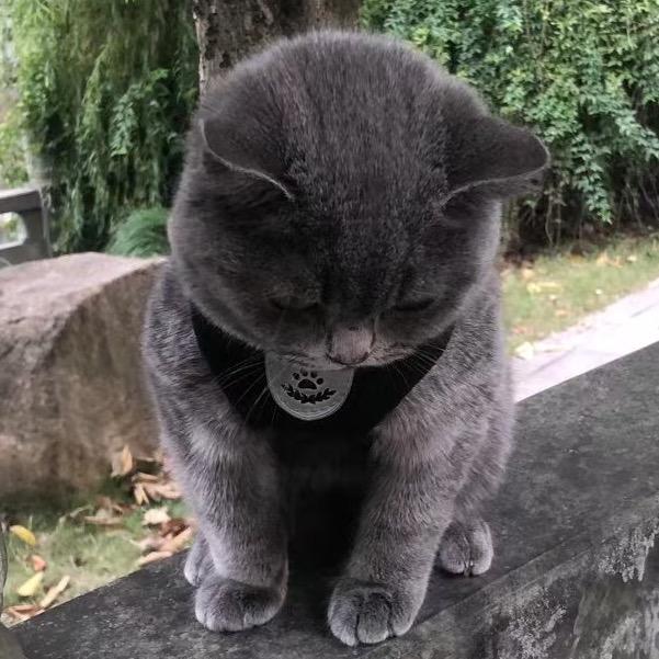 小草.