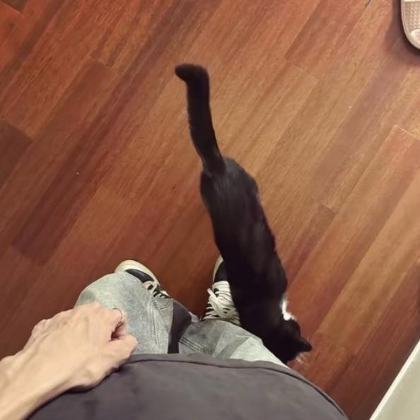 无敌雯吱大人（昀昀☁️版）·