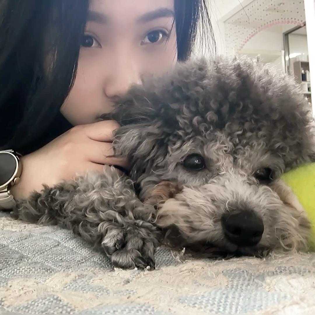 小   W
