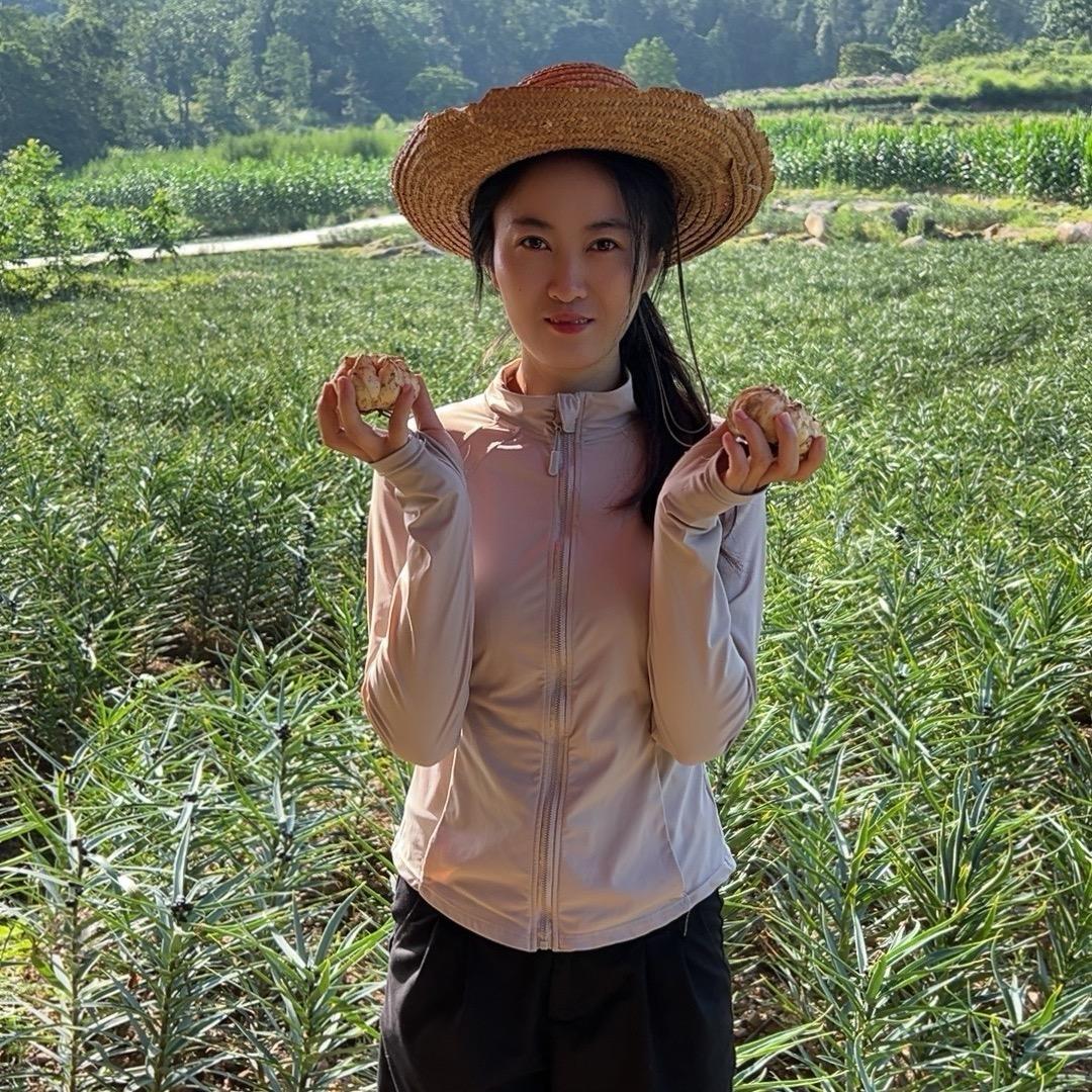 舌尖上的乡味坊