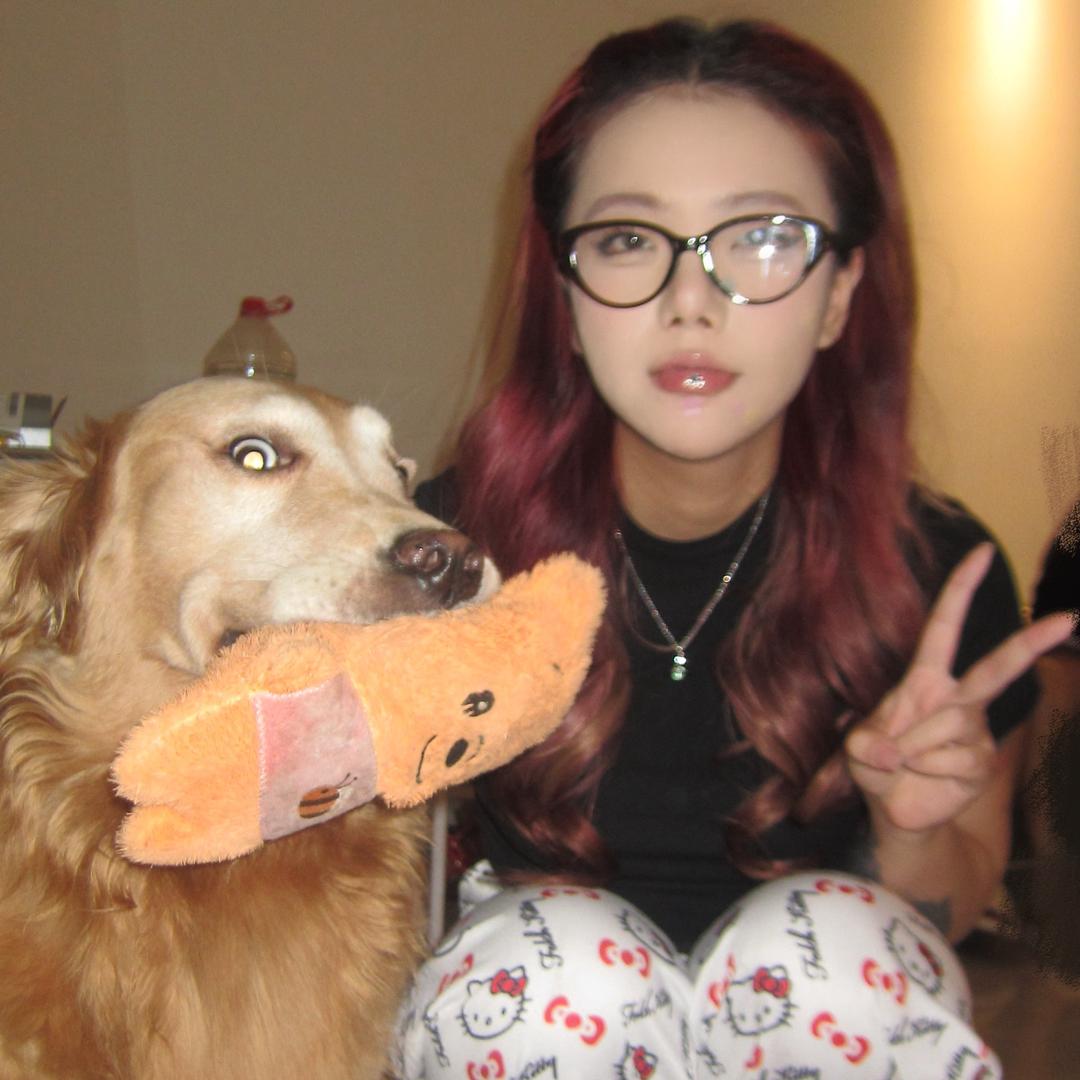 树树公主（搬砖版）