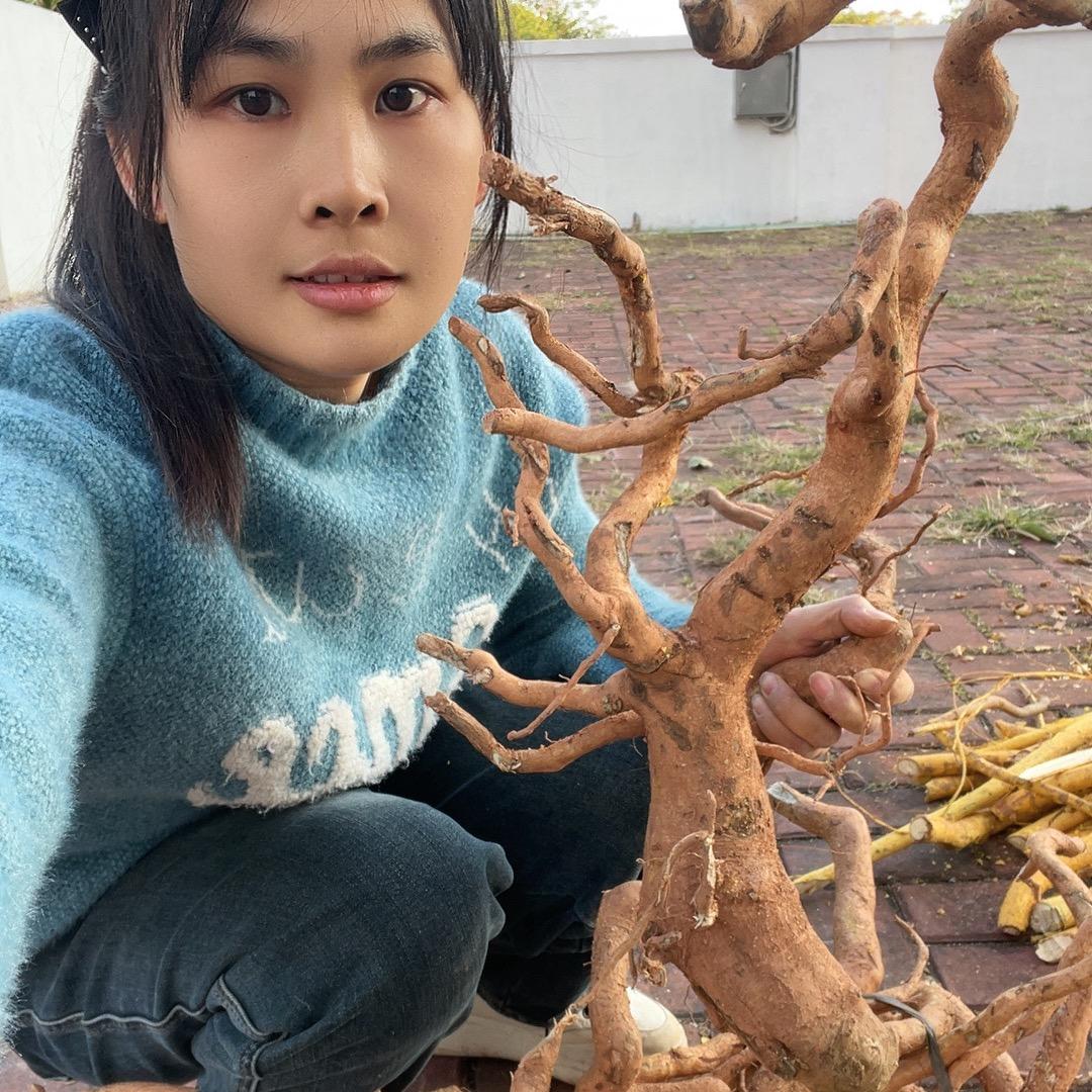 山捻子土特产