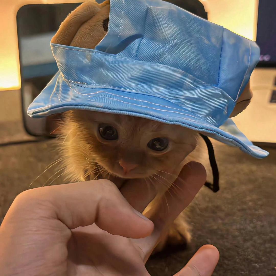 -蘋果
