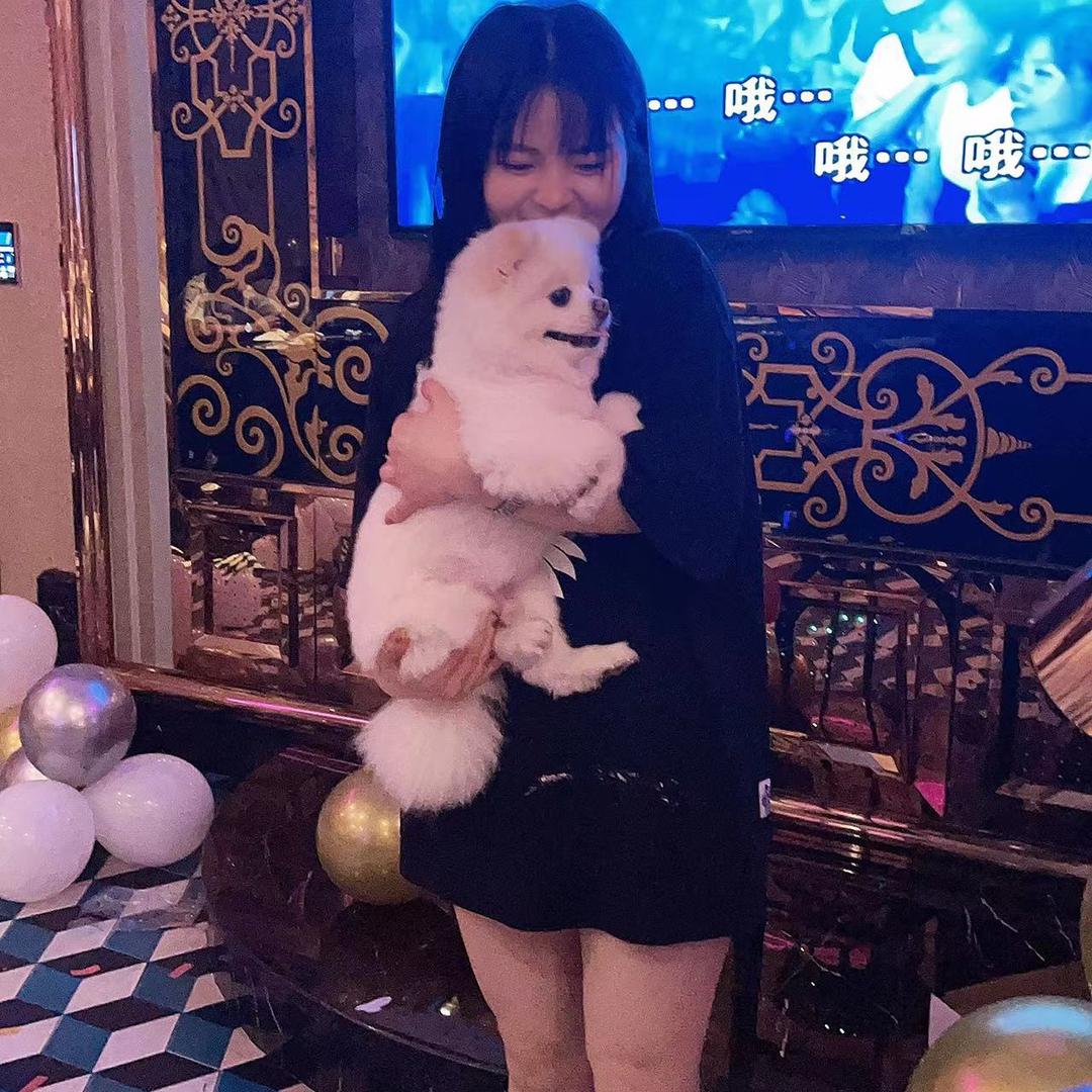 兰亭花🍀
