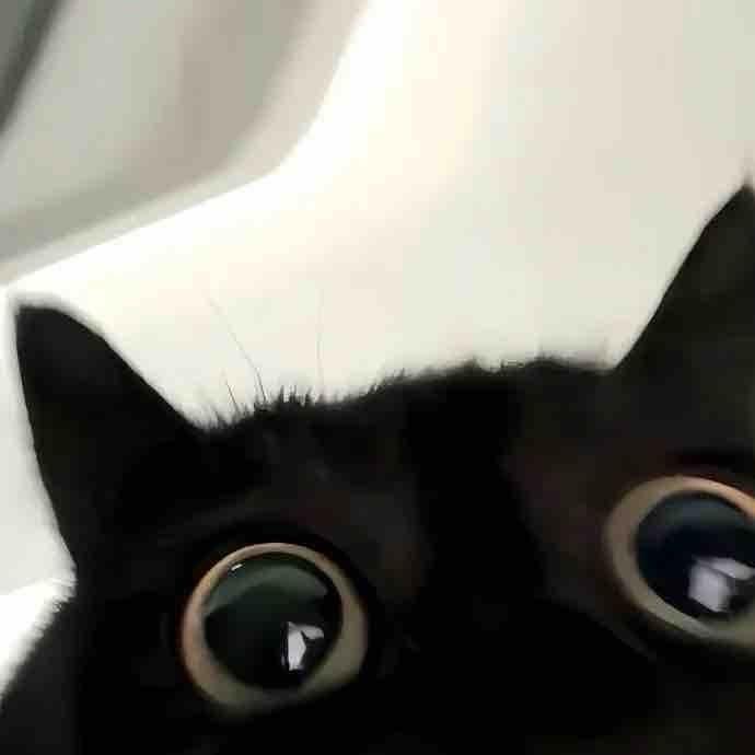 W w
