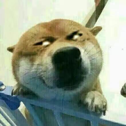 探店小达人