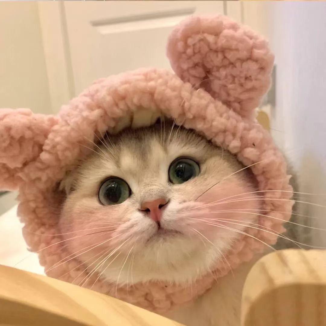 aaa