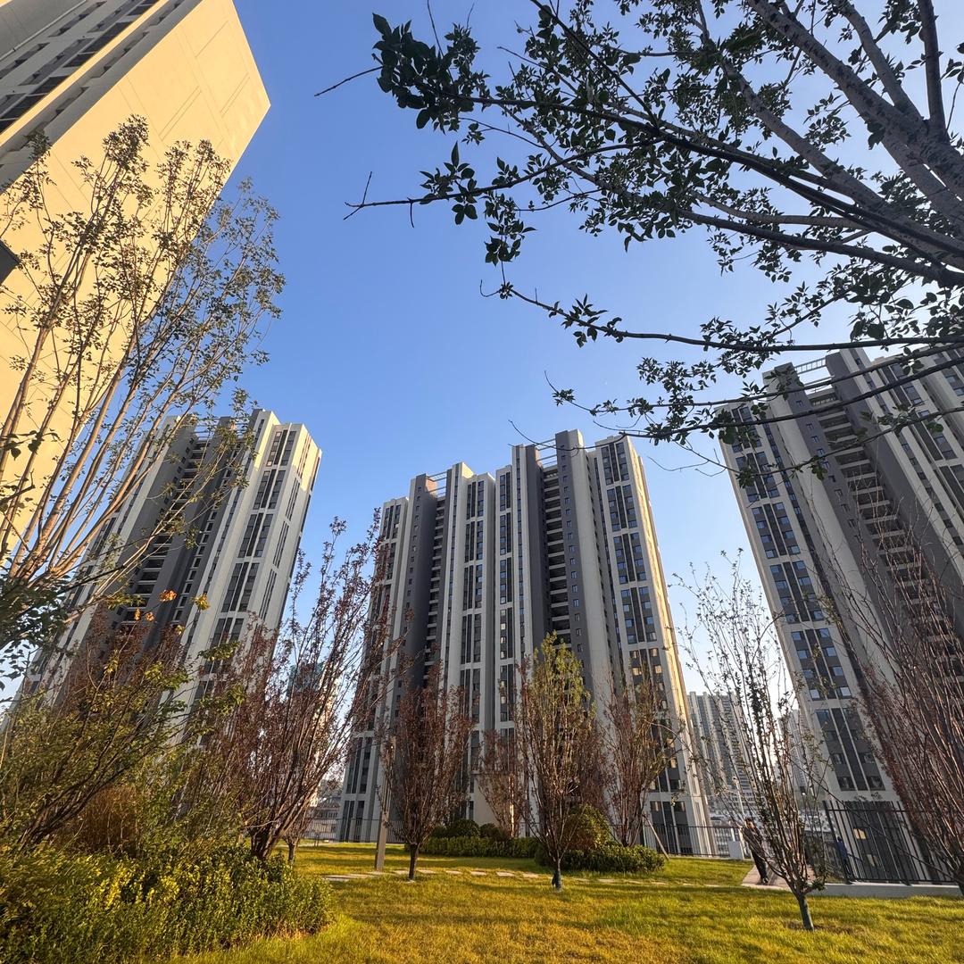 碧桂园城市花园（府东街）