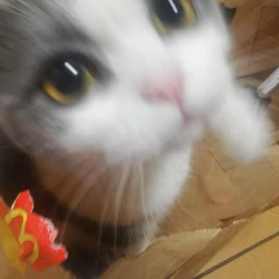 一起去看黄昏吧