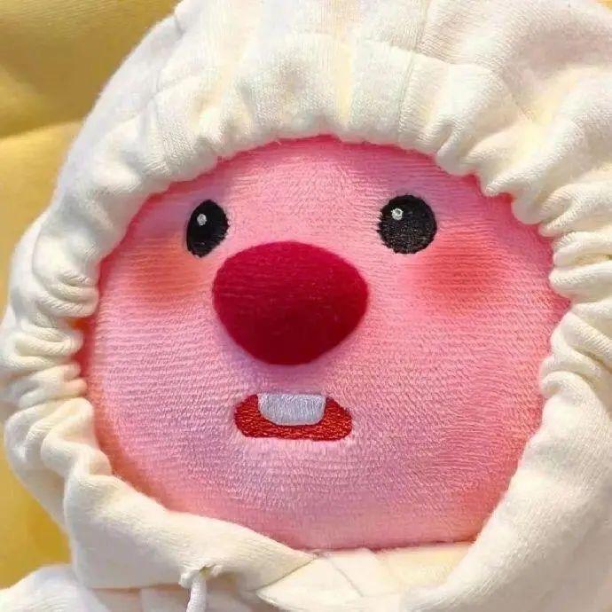 爱吃橘子的橙子大王