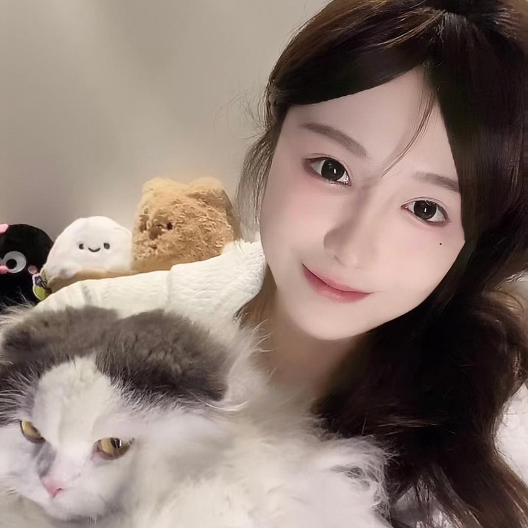 安可饱饱