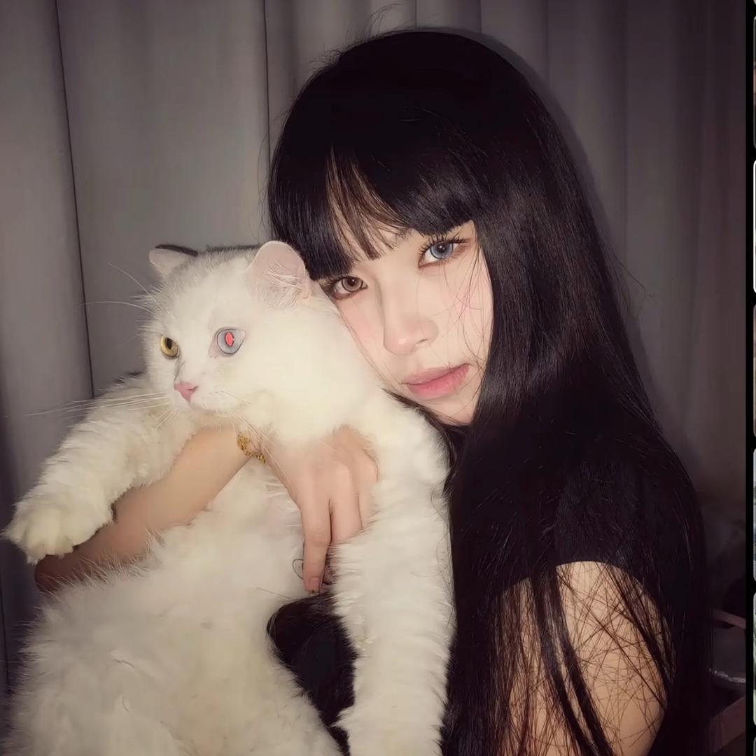 不萌还很贱.