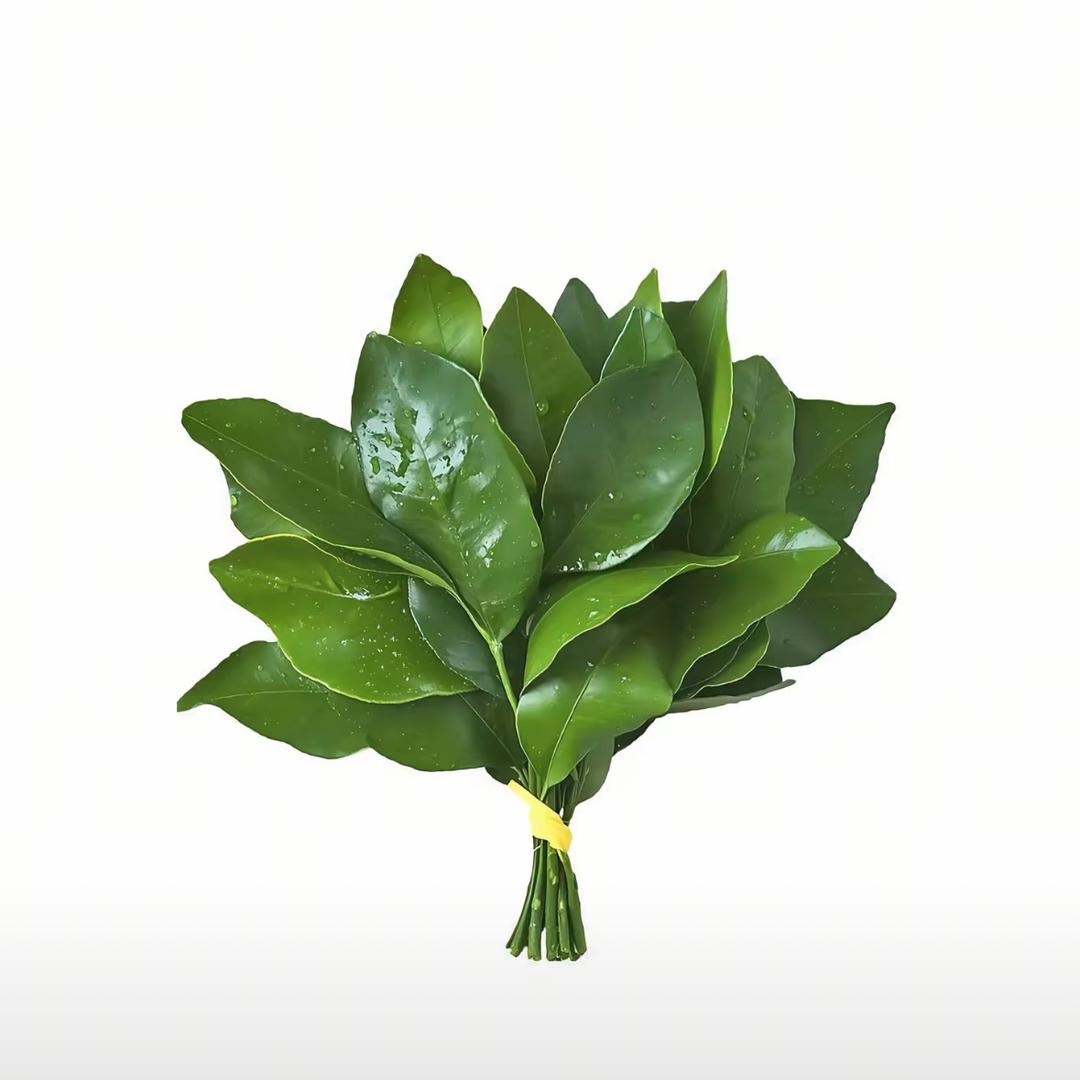 小糯糯