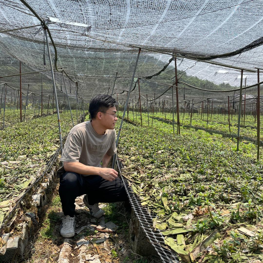 阿杰滋补煲汤