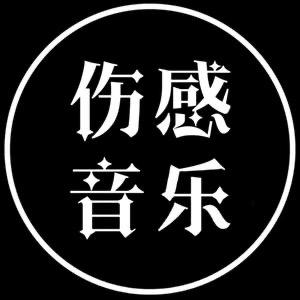 伤感音乐歌单（🉑️购优盘）
