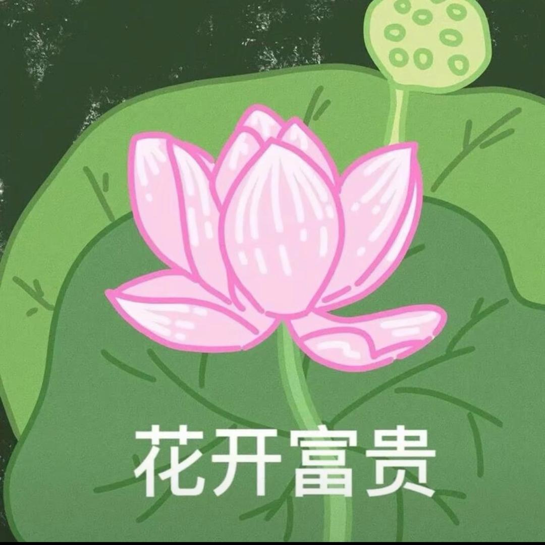 小何在散步