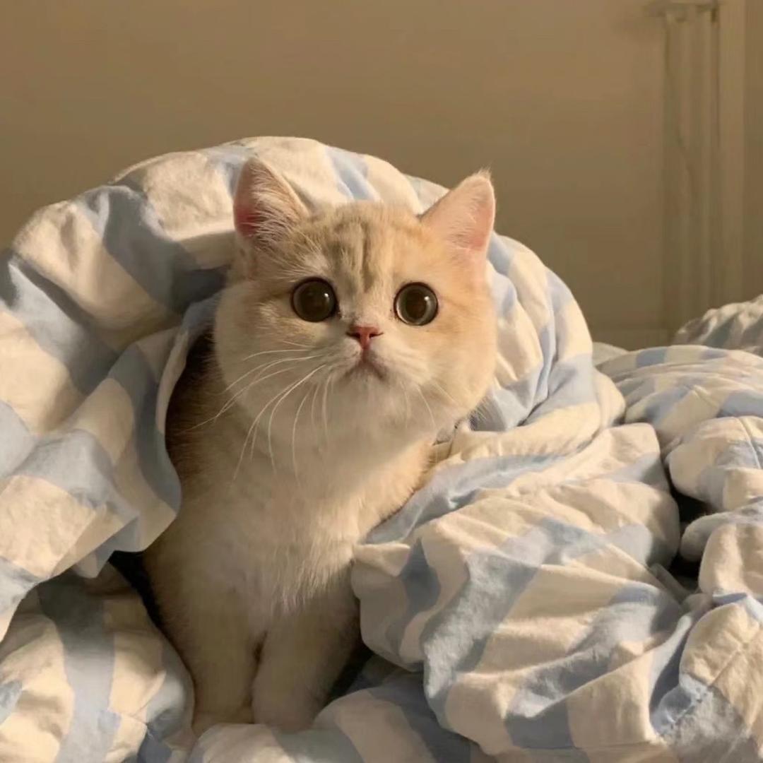 久违