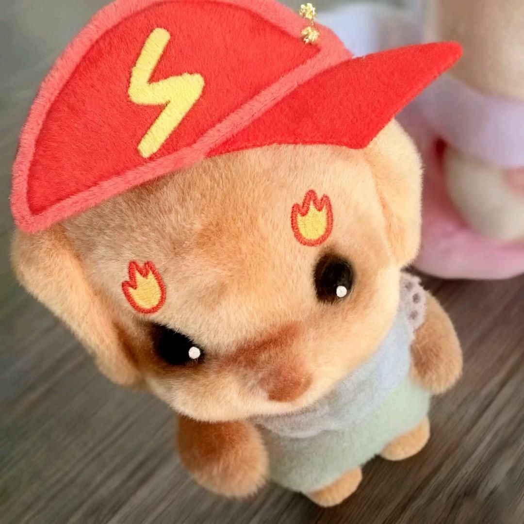 河北保定最后一个处男