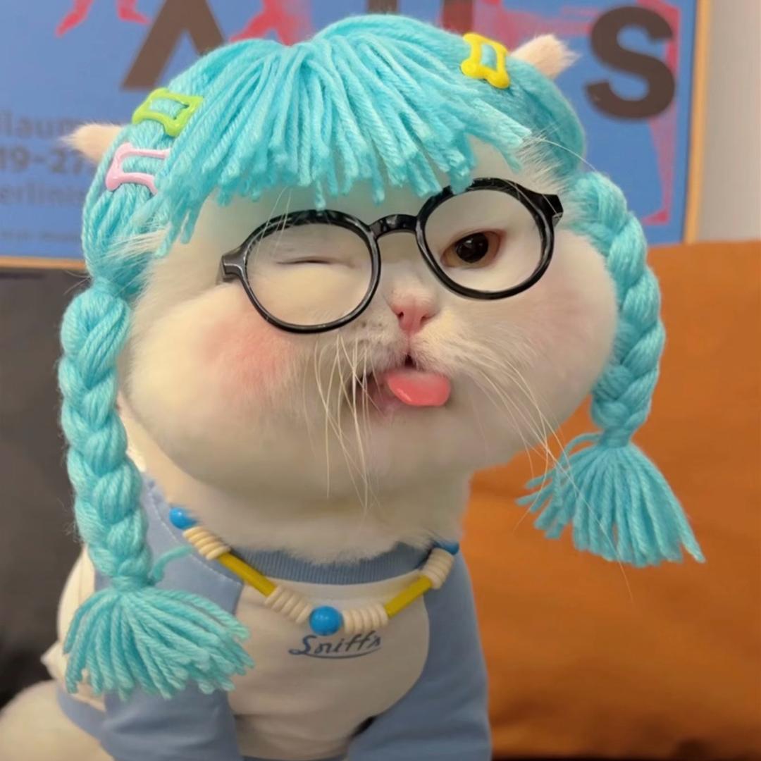 总有偏爱.