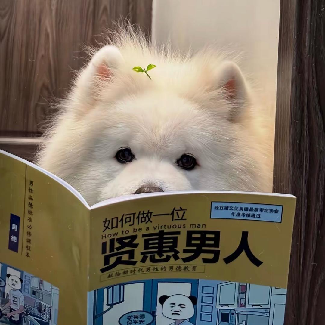 摆烂小鱼