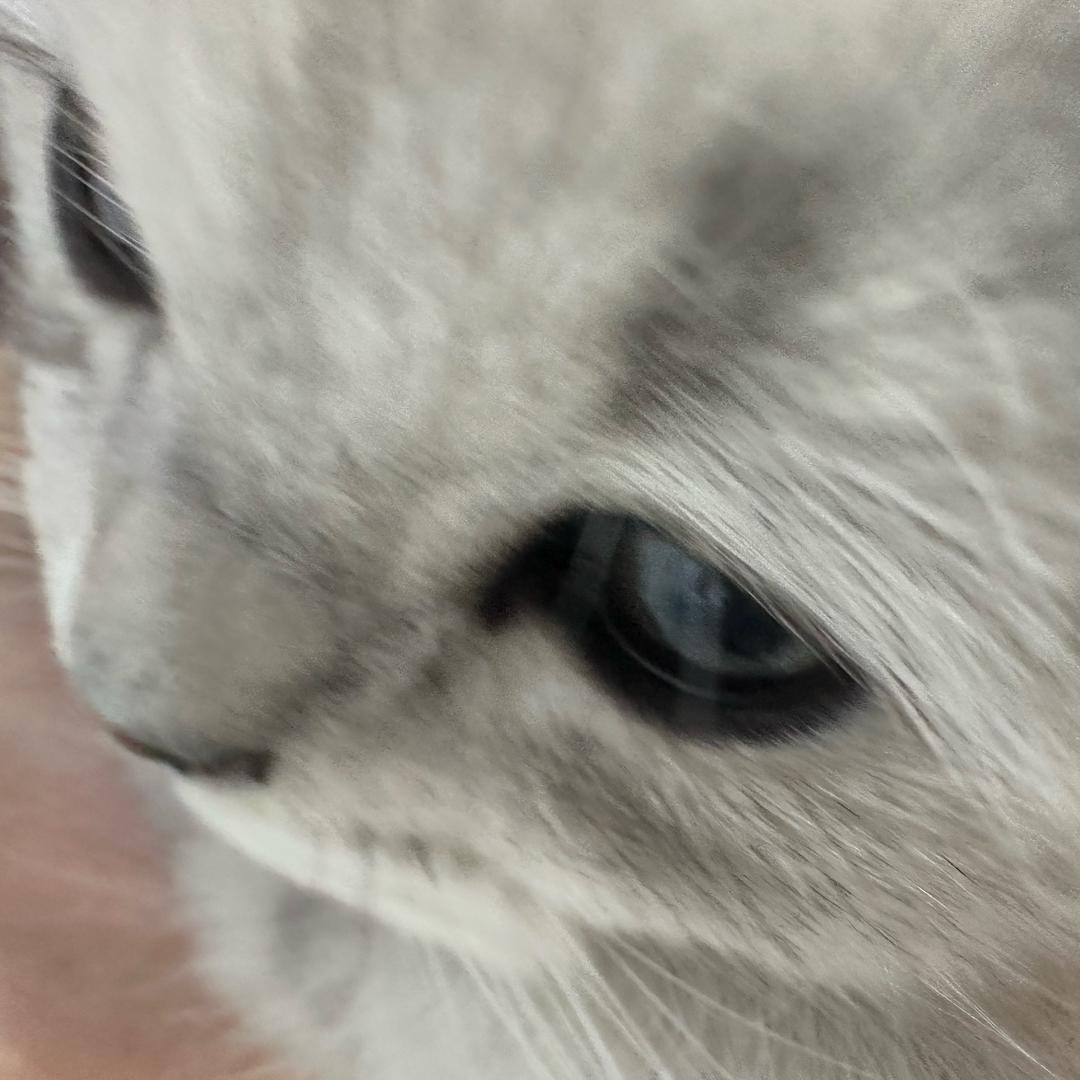 维维（温柔助眠）