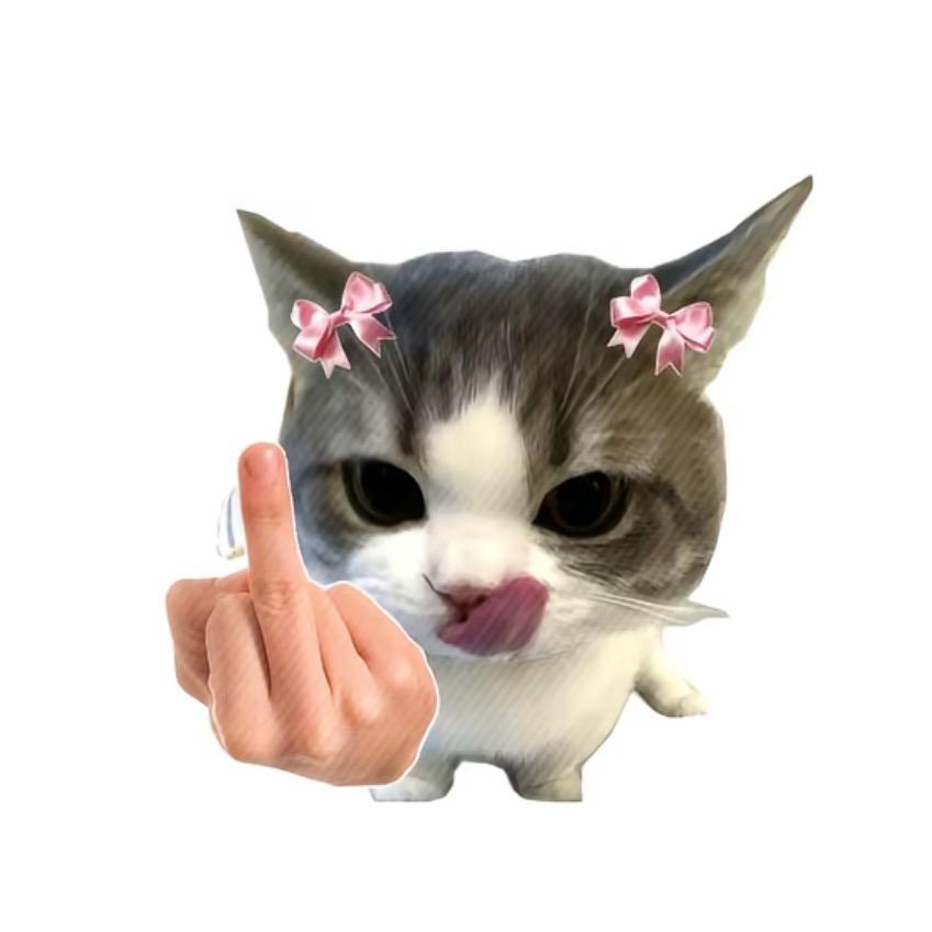 就不让你说话能咋的