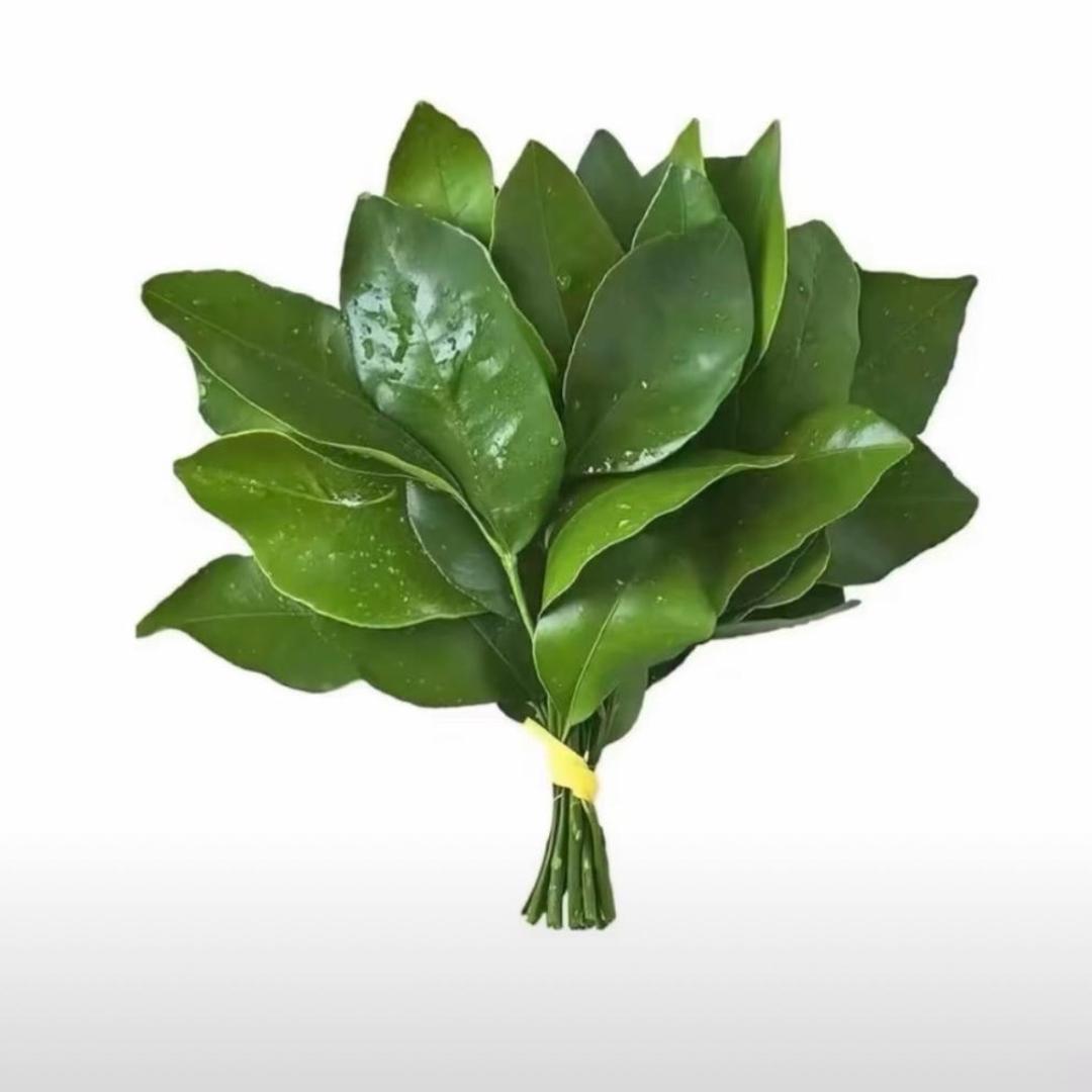 两把手