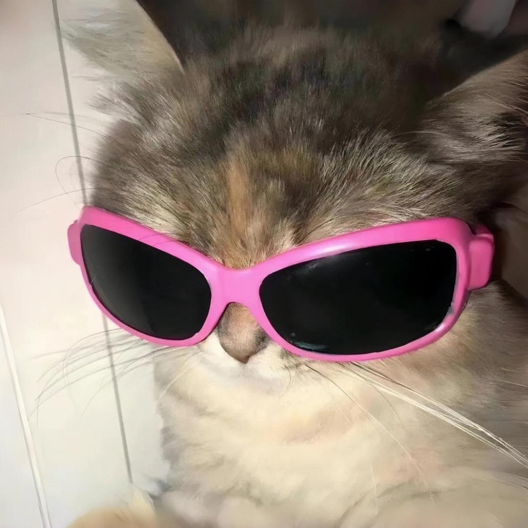 弥漫