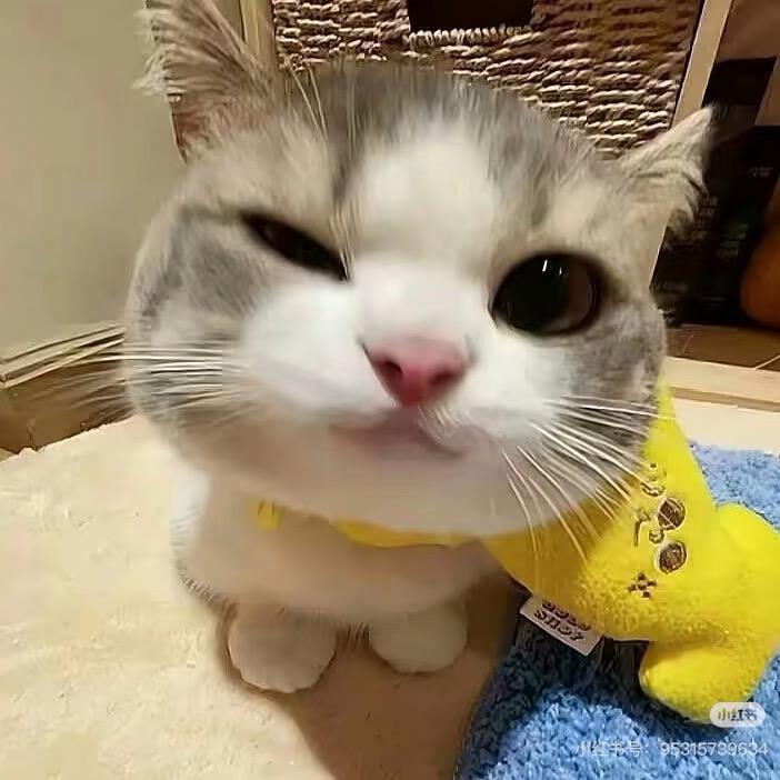 脆皮肠🍖
