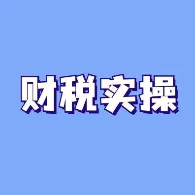 正会财税实操