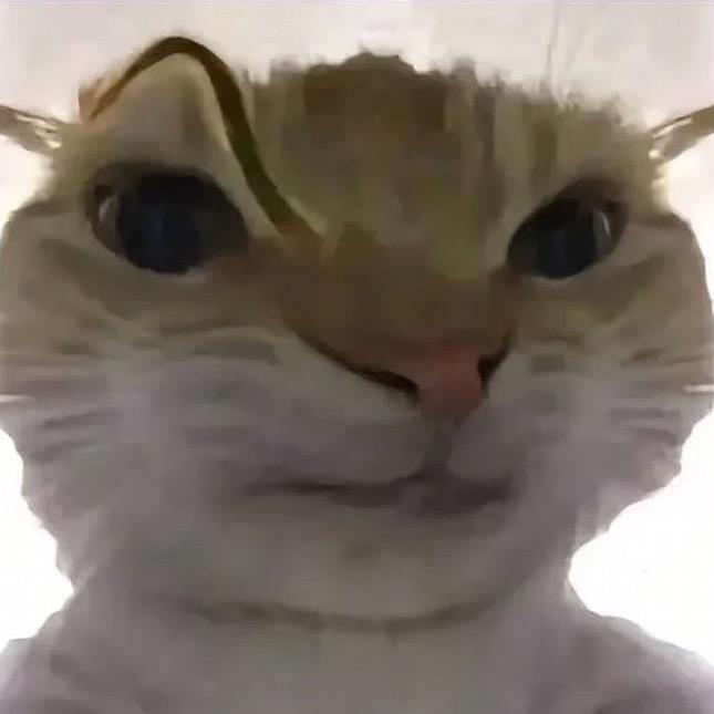 乐美（三角洲）