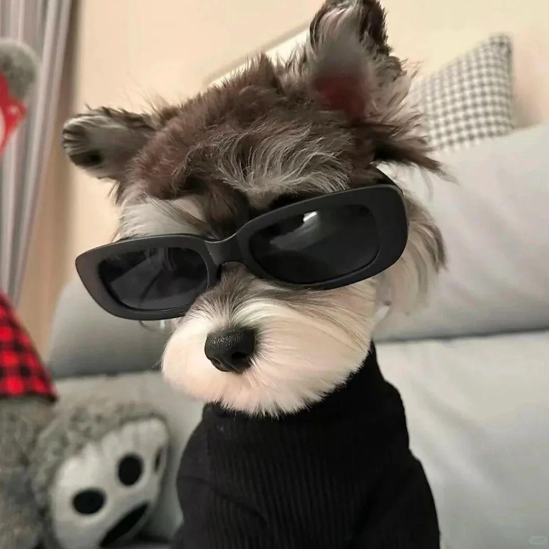 Y00°