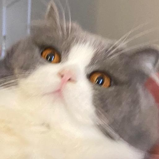 傲娇软妹